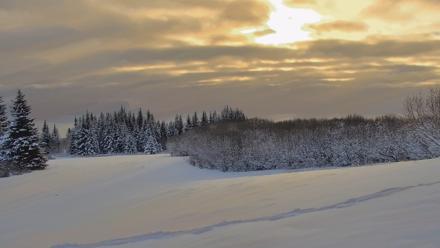 Inspiration Ridge - Homer Alaska Live Webcam - Feb 13, 2026, 10:19am AKST