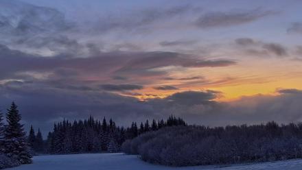 Inspiration Ridge - Homer Alaska Live Webcam - Jan 14, 2026, 9:04am AKST