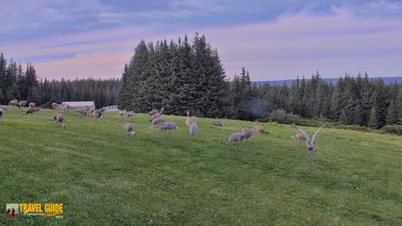 Inspiration Ridge - Homer Alaska Live Webcam - Sep 1, 2026, 7:41pm AKDT
