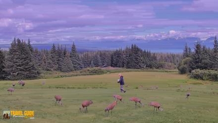 Inspiration Ridge - Homer Alaska Live Webcam - Aug 23, 2026, 9:12pm AKDT