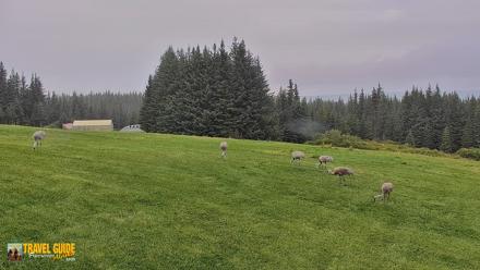 Inspiration Ridge - Homer Alaska Live Webcam - Sep 8, 2026, 11:19am AKDT