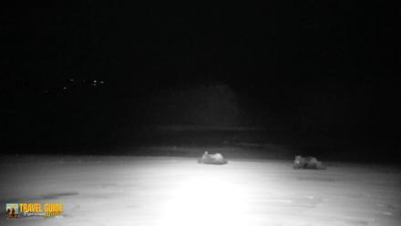 Inspiration Ridge - Homer Alaska Live Webcam - Apr 15, 2026, 12:33am AKDT