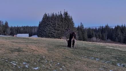 Inspiration Ridge - Homer Alaska Live Webcam - Dec 12, 2025, 9:39am AKST