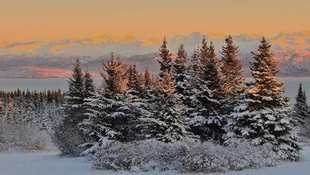 Inspiration Ridge - Homer Alaska Live Webcam - Nov 23, 2025, 4:46pm AKST