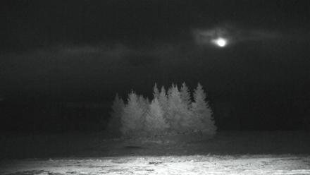 Inspiration Ridge - Homer Alaska Live Webcam - Feb 4, 2026, 11:43pm AKST