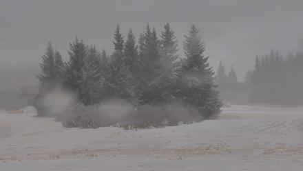 Inspiration Ridge - Homer Alaska Live Webcam - Feb 10, 2026, 1:04pm AKST