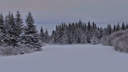 Inspiration Ridge - Homer Alaska Live Webcam - Jan 14, 2026, 4:15pm AKST