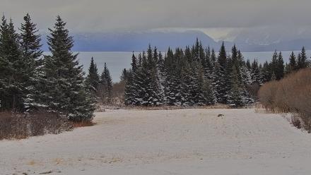 Inspiration Ridge - Homer Alaska Live Webcam - Nov 7, 2025, 4:49pm AKST