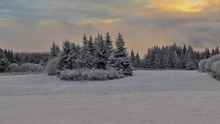 Inspiration Ridge - Homer Alaska Live Webcam - Nov 4, 2025, 9:26am AKST