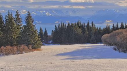 Inspiration Ridge - Homer Alaska Live Webcam - Feb 1, 2026, 12:18pm AKST