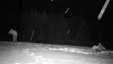 Inspiration Ridge - Homer Alaska Live Webcam - Jan 14, 2026, 12:12am AKST