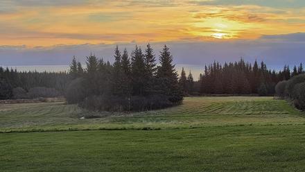 Inspiration Ridge - Homer Alaska Live Webcam - Oct 17, 2025, 9:15am AKDT