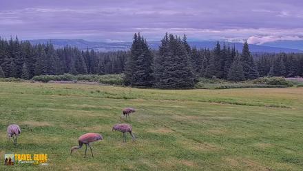 Inspiration Ridge - Homer Alaska Live Webcam - Aug 19, 2026, 7:05pm AKDT