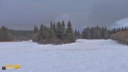 Inspiration Ridge - Homer Alaska Live Webcam - Apr 17, 2026, 4:01pm AKDT