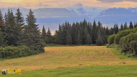 Inspiration Ridge - Homer Alaska Live Webcam - Aug 15, 2026, 7:36am AKDT