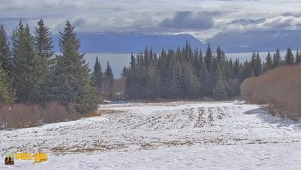 Inspiration Ridge - Homer Alaska Live Webcam - Apr 18, 2026, 12:14pm AKDT