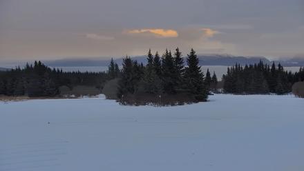 Inspiration Ridge - Homer Alaska Live Webcam - Jan 17, 2026, 10:13am AKST