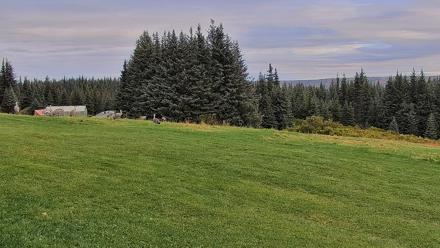 Inspiration Ridge - Homer Alaska Live Webcam - Sep 12, 2025, 10:24am AKDT