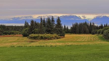 Inspiration Ridge - Homer Alaska Live Webcam - Sep 4, 2025, 5:19pm AKDT