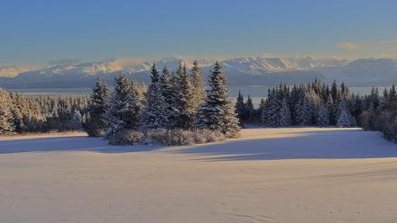 Inspiration Ridge - Homer Alaska Live Webcam - Jan 7, 2026, 12:41pm AKST