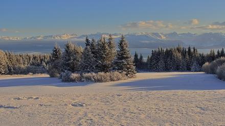 Inspiration Ridge - Homer Alaska Live Webcam - Jan 14, 2026, 12:35pm AKST