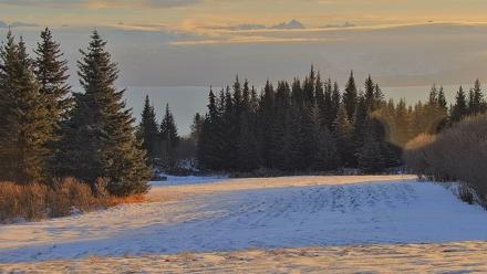 Inspiration Ridge - Homer Alaska Live Webcam - Dec 30, 2025, 11:22am AKST