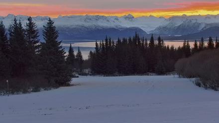 Inspiration Ridge - Homer Alaska Live Webcam - Jan 18, 2026, 11:30am AKST