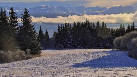 Inspiration Ridge - Homer Alaska Live Webcam - Nov 8, 2025, 11:13am AKST