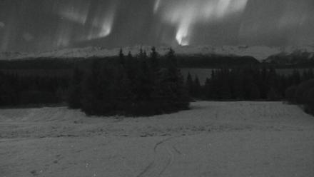 Inspiration Ridge - Homer Alaska Live Webcam - Nov 12, 2025, 5:19am AKST