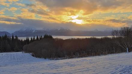 Inspiration Ridge - Homer Alaska Live Webcam - Nov 19, 2025, 9:56am AKST