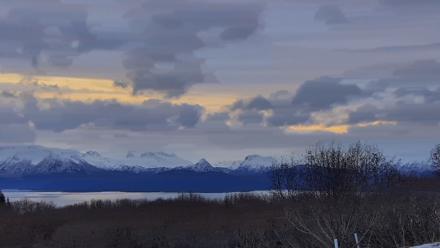 Inspiration Ridge - Homer Alaska Live Webcam - Feb 4, 2026, 9:02am AKST