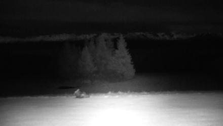 Inspiration Ridge - Homer Alaska Live Webcam - Nov 1, 2025, 3:26am AKDT