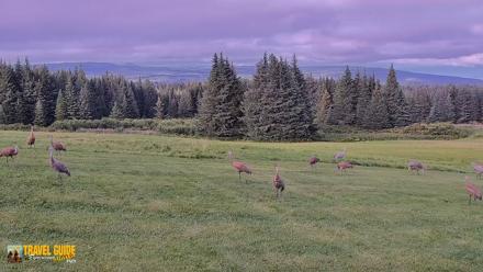 Inspiration Ridge - Homer Alaska Live Webcam - Aug 25, 2026, 8:39pm AKDT