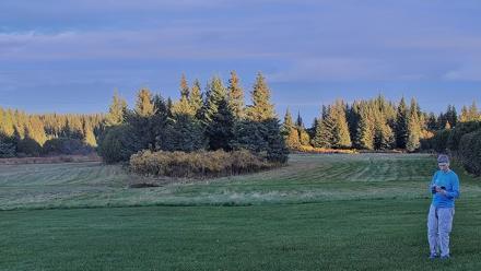 Inspiration Ridge - Homer Alaska Live Webcam - Oct 6, 2025, 6:29pm AKDT