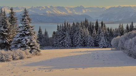 Inspiration Ridge - Homer Alaska Live Webcam - Nov 22, 2025, 11:46am AKST