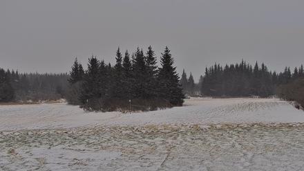 Inspiration Ridge - Homer Alaska Live Webcam - Dec 29, 2025, 2:59pm AKST