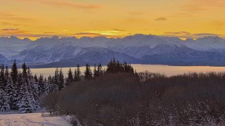 Inspiration Ridge - Homer Alaska Live Webcam - Nov 24, 2025, 9:12am AKST