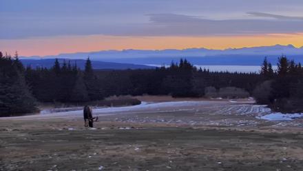 Inspiration Ridge - Homer Alaska Live Webcam - Dec 19, 2025, 9:57am AKST