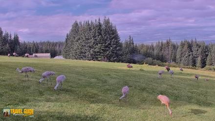 Inspiration Ridge - Homer Alaska Live Webcam - Sep 3, 2026, 5:57pm AKDT
