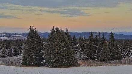 Inspiration Ridge - Homer Alaska Live Webcam - Nov 9, 2025, 4:33pm AKST