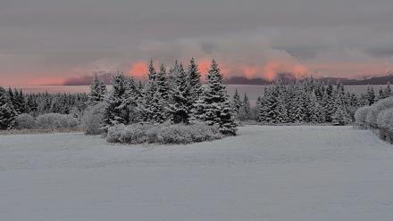Inspiration Ridge - Homer Alaska Live Webcam - Nov 4, 2025, 6:54pm AKST