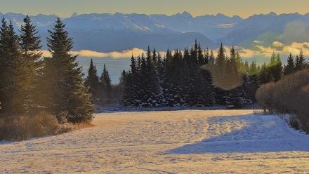 Inspiration Ridge - Homer Alaska Live Webcam - Nov 9, 2025, 10:07am AKST