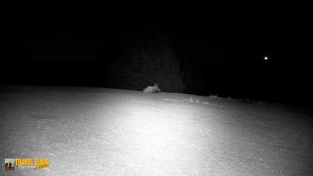 Inspiration Ridge - Homer Alaska Live Webcam - Oct 22, 2026, 10:49pm AKDT
