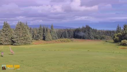 Inspiration Ridge - Homer Alaska Live Webcam - Sep 8, 2026, 4:00pm AKDT
