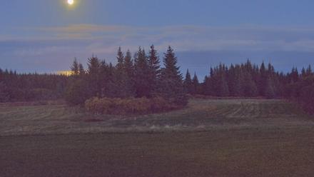 Inspiration Ridge - Homer Alaska Live Webcam - Oct 6, 2025, 8:09pm AKDT