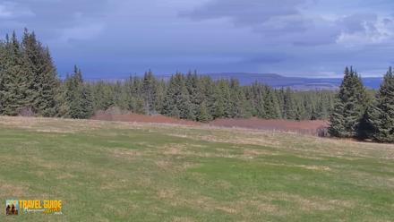 Inspiration Ridge - Homer Alaska Live Webcam - May 29, 2026, 2:20pm AKDT