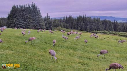 Inspiration Ridge - Homer Alaska Live Webcam - Aug 28, 2026, 12:30pm AKDT
