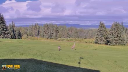 Inspiration Ridge - Homer Alaska Live Webcam - Sep 8, 2026, 4:05pm AKDT