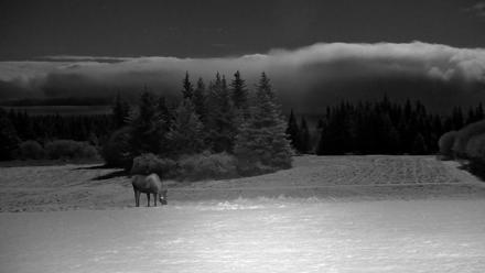 Inspiration Ridge - Homer Alaska Live Webcam - Nov 4, 2025, 9:12pm AKST