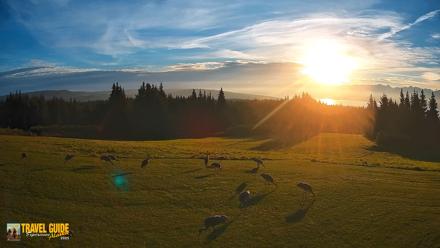 Inspiration Ridge - Homer Alaska Live Webcam - Sep 3, 2026, 5:56pm AKDT